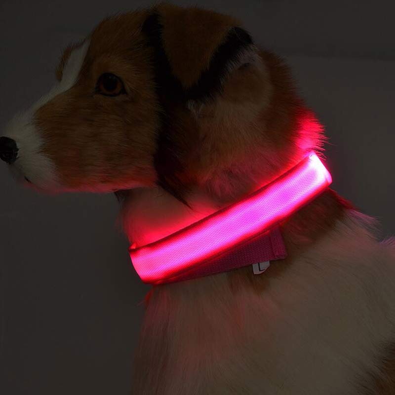 Nylon Dog Luminous Collar Night Safety
